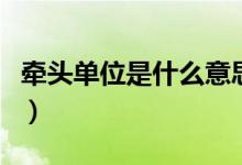 牽頭單位是什么意思?。款^單位是什么意思）
