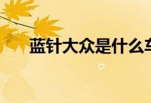 藍(lán)針大眾是什么車（看完你就明白了）