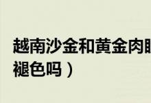 越南沙金和黃金肉眼能分辨出來(lái)嗎（越南沙金褪色嗎）