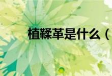 植鞣革是什么（植鞣革是什么材料）
