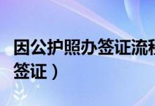 因公護照辦簽證流程（普通公務護照怎么辦理簽證）