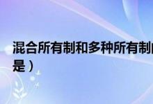 混合所有制和多種所有制的區(qū)別（什么是混合所有制其含義是）