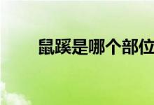 鼠蹊是哪個(gè)部位（鼠蹊是哪個(gè)部位）