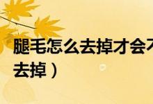 腿毛怎么去掉才會不再長起來男生（腿毛怎么去掉）