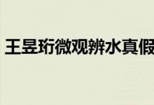 王昱珩微觀辨水真假（王昱珩微觀辨水原理）