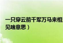 一只穿云箭千軍萬(wàn)馬來(lái)相見(jiàn)文案（一只穿云箭千軍萬(wàn)馬來(lái)相見(jiàn)啥意思）