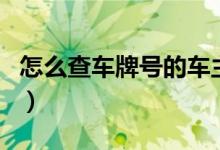 怎么查車牌號的車主（可以網(wǎng)上查車主信息嗎）