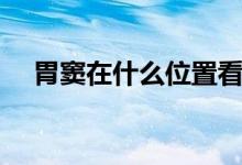 胃竇在什么位置看圖（胃竇在什么位置）