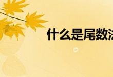 什么是尾數法（什么是尾纖）