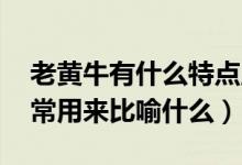 老黃牛有什么特點,可以比喻什么（老黃牛通常用來比喻什么）