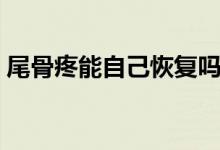 尾骨疼能自己恢復(fù)嗎（尾骨疼能自己恢復(fù)嗎）