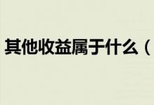 其他收益屬于什么（其他收益屬于什么科目）