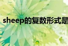 sheep的復(fù)數(shù)形式是啥（sheep的復(fù)數(shù)形式）