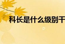 科長是什么級別干部（科長是什么職位）