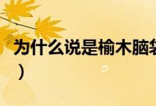 為什么說(shuō)是榆木腦袋（榆木腦袋有多少個(gè)意思）