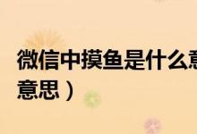 微信中摸魚是什么意思（微信狀態(tài)摸魚是什么意思）