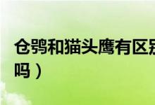 倉鸮和貓頭鷹有區(qū)別嗎（倉鸮和貓頭鷹有區(qū)別嗎）