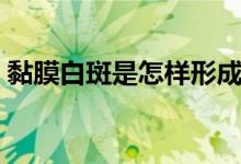 黏膜白斑是怎樣形成的（黏膜白斑是什么?。?class=