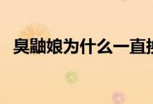 臭鼬娘為什么一直換身體（臭鼬娘什么梗）