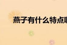 燕子有什么特點?。ㄑ嘧佑惺裁刺攸c）