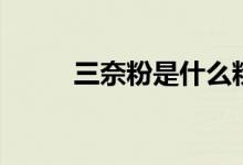 三奈粉是什么粉（三奈粉的介紹）