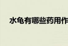 水龜有哪些藥用作用（水龜有哪些種類）
