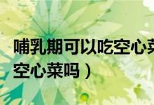 哺乳期可以吃空心菜和莧菜嗎（哺乳期可以吃空心菜嗎）