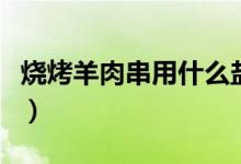 燒烤羊肉串用什么鹽（燒烤羊肉串用什么部位）