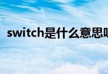 switch是什么意思呀（switch是什么屬性）
