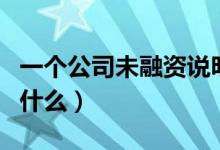 一個公司未融資說明什么（未融資的公司說明什么）