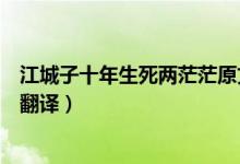江城子十年生死兩茫茫原文（江城子十年生死兩茫茫原文及翻譯）