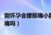 剛懷孕會(huì)腰酸痛小腹脹痛嗎（剛懷孕會(huì)腰酸背痛嗎）