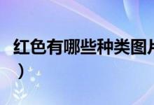 紅色有哪些種類圖片及名稱（紅色有哪些種類）