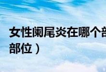 女性闌尾炎在哪個部位疼（女性闌尾炎在哪個部位）