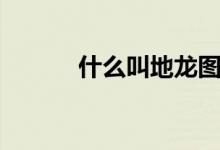 什么叫地龍圖片（什么叫地寶）