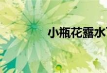 小瓶花露水可以帶上飛機(jī)嗎
