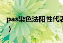 pas染色法陽性代表什么（PAS染色法的原理）
