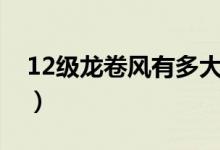 12級(jí)龍卷風(fēng)有多大（12級(jí)龍卷風(fēng)有多大威力）