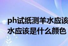 ph試紙測羊水應(yīng)該是什么顏色（ph試紙測羊水應(yīng)該是什么顏色）