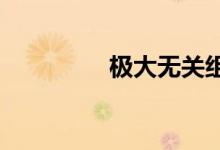 極大無關(guān)組的定義是什么