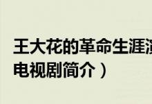 王大花的革命生涯演員表（王大花的革命生涯電視劇簡介）