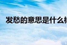 發(fā)愁的意思是什么標準答案（發(fā)愁的意思）