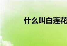 什么叫白蓮花（什么叫白電油）