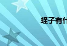 蟶子有什么營養(yǎng)價值