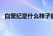 白堊紀(jì)是什么樣子的（白堊紀(jì)是什么意思）