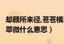 卻顧所來徑,蒼蒼橫翠微!（卻顧所來徑 蒼蒼橫翠微什么意思）