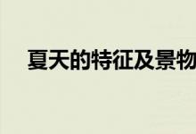夏天的特征及景物簡(jiǎn)筆畫（夏天的特征）