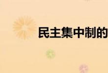 民主集中制的基本原則是什么？