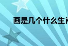 畫是幾個什么生肖（畫是哪幾個生肖）