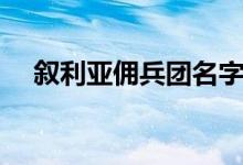 敘利亞傭兵團名字（敘利亞傭兵什么梗）